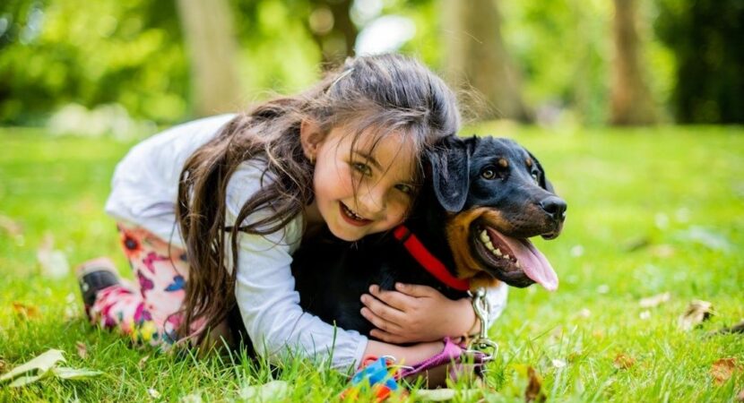 Kind omhelst een aangelijnde hond in het gras