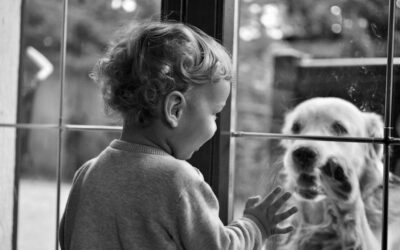 Kind kijkt door het raam naar een hond buiten