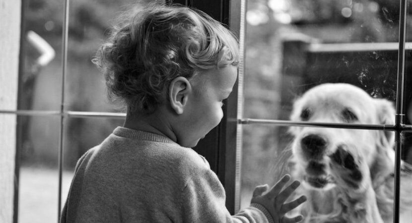 Kind kijkt door het raam naar een hond buiten